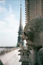Gargoyles of Notre Dame and Gothic features