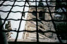 Flying Buttresses of Notre Dame