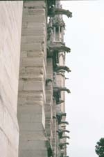 Gargoyle drainspouts of Notre Dame