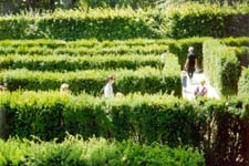 Vince lost in a garden maze at Schonbrunn Palace