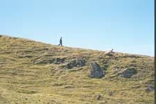 Chasing sheep on the Isle of Skye