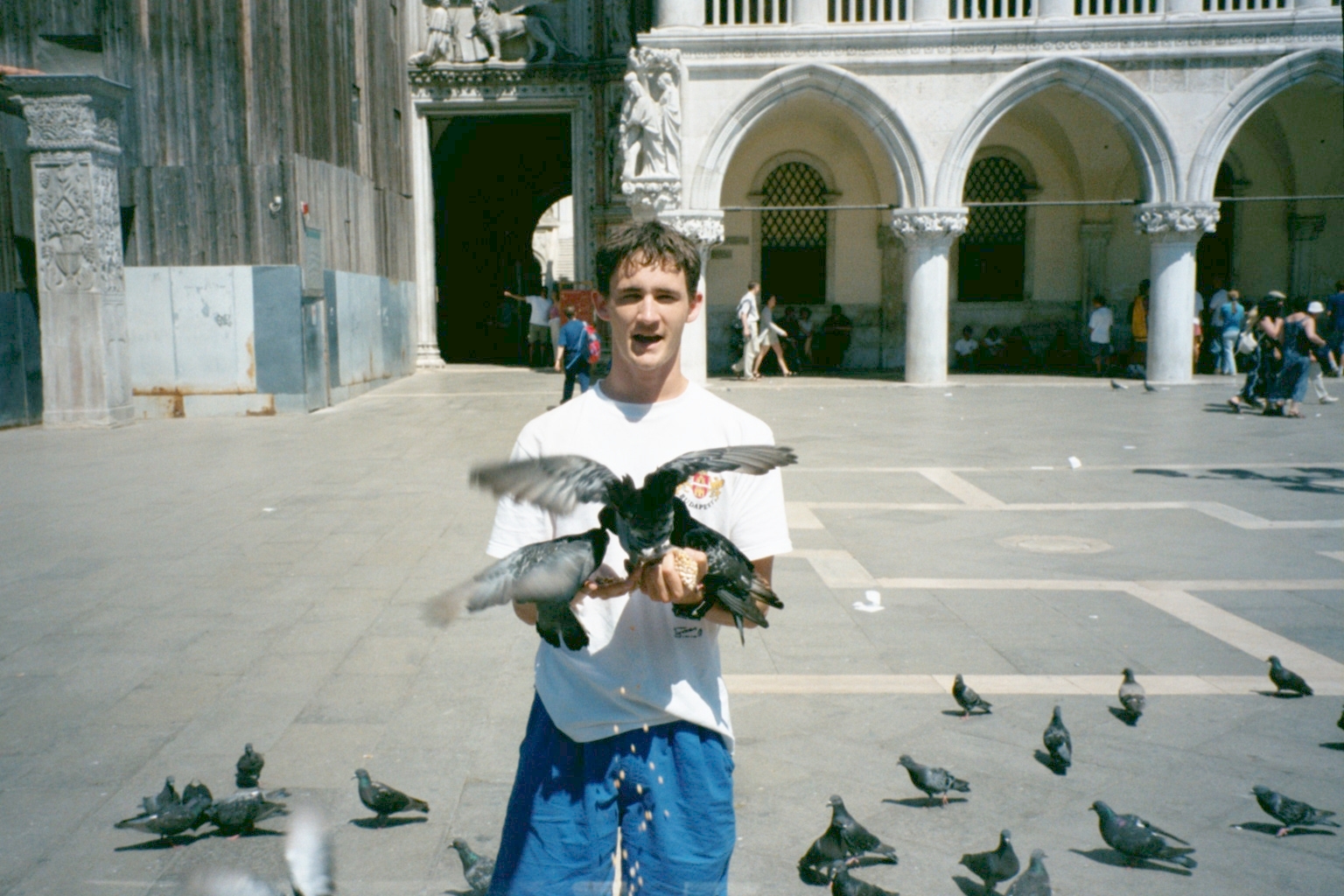Ryan getting it on with a flying rat in Venice