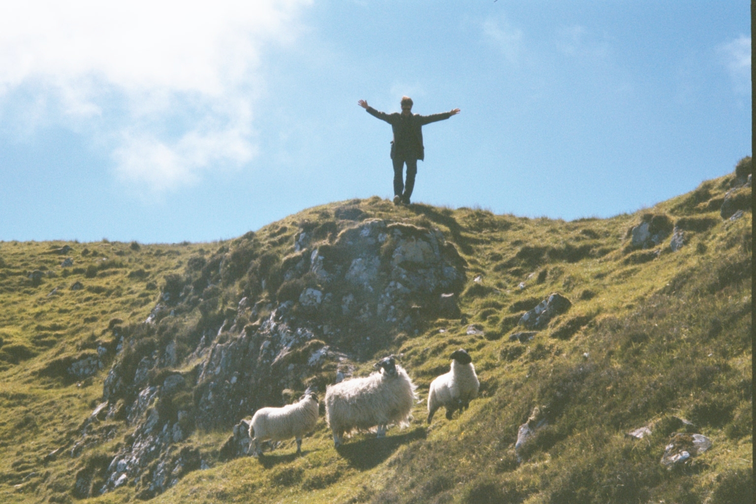 Chasing sheep on the Isle of Skye