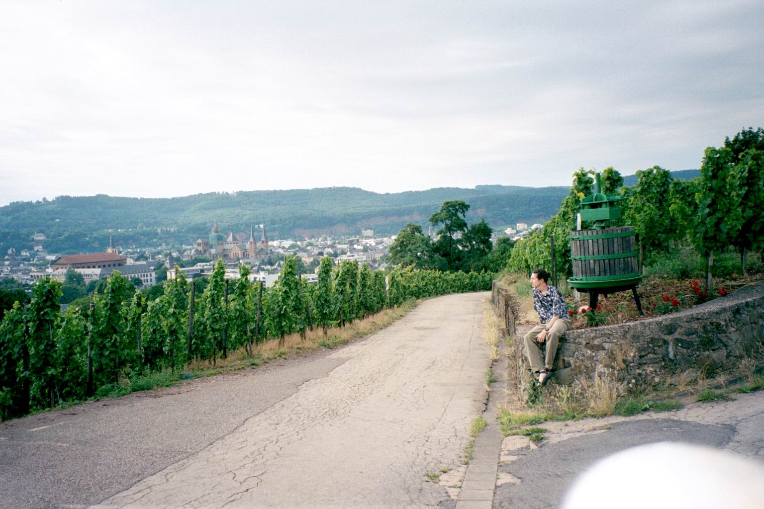 View of Trier from the wine hills