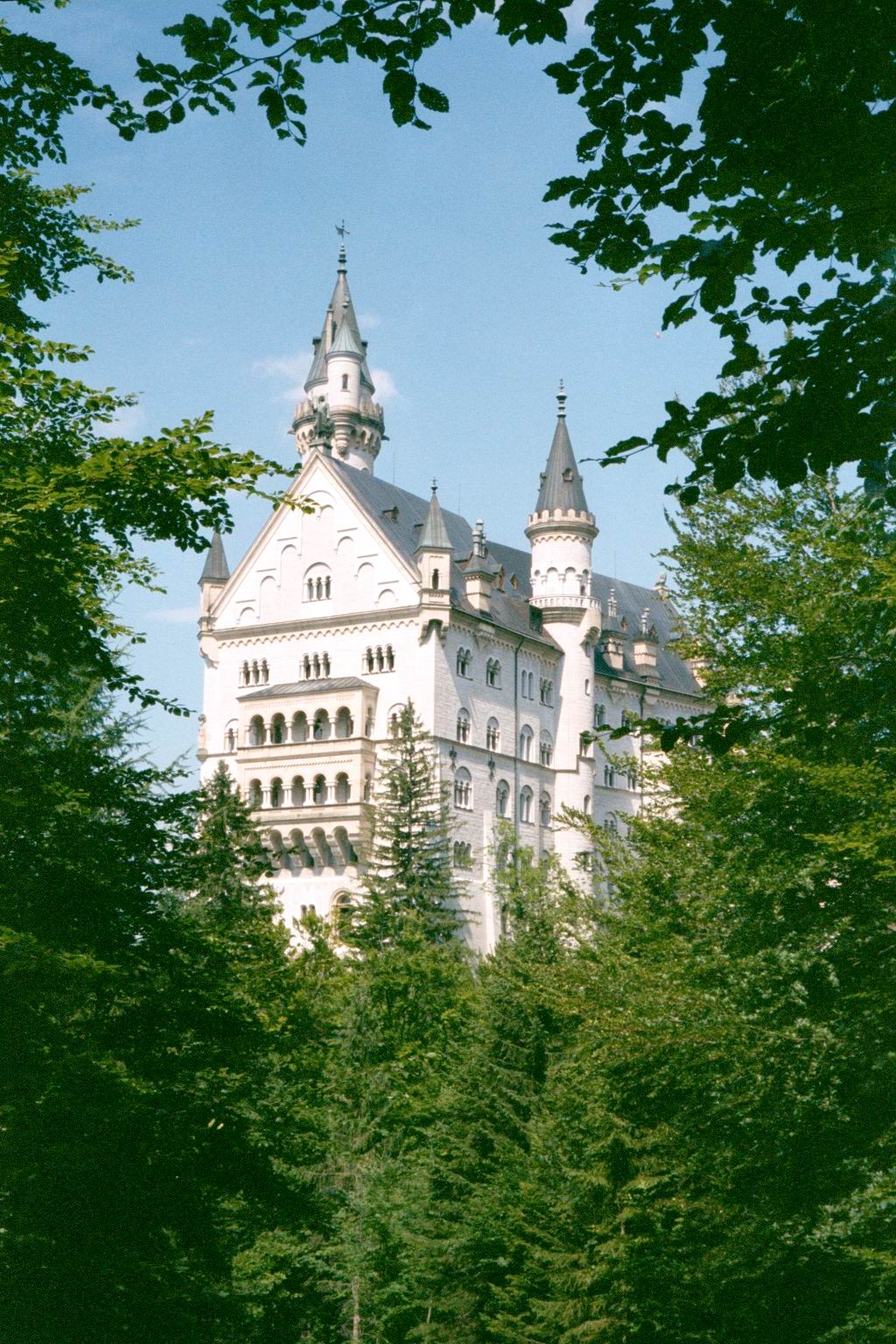 Castle Neuschwanstein in a very portrait sort of way