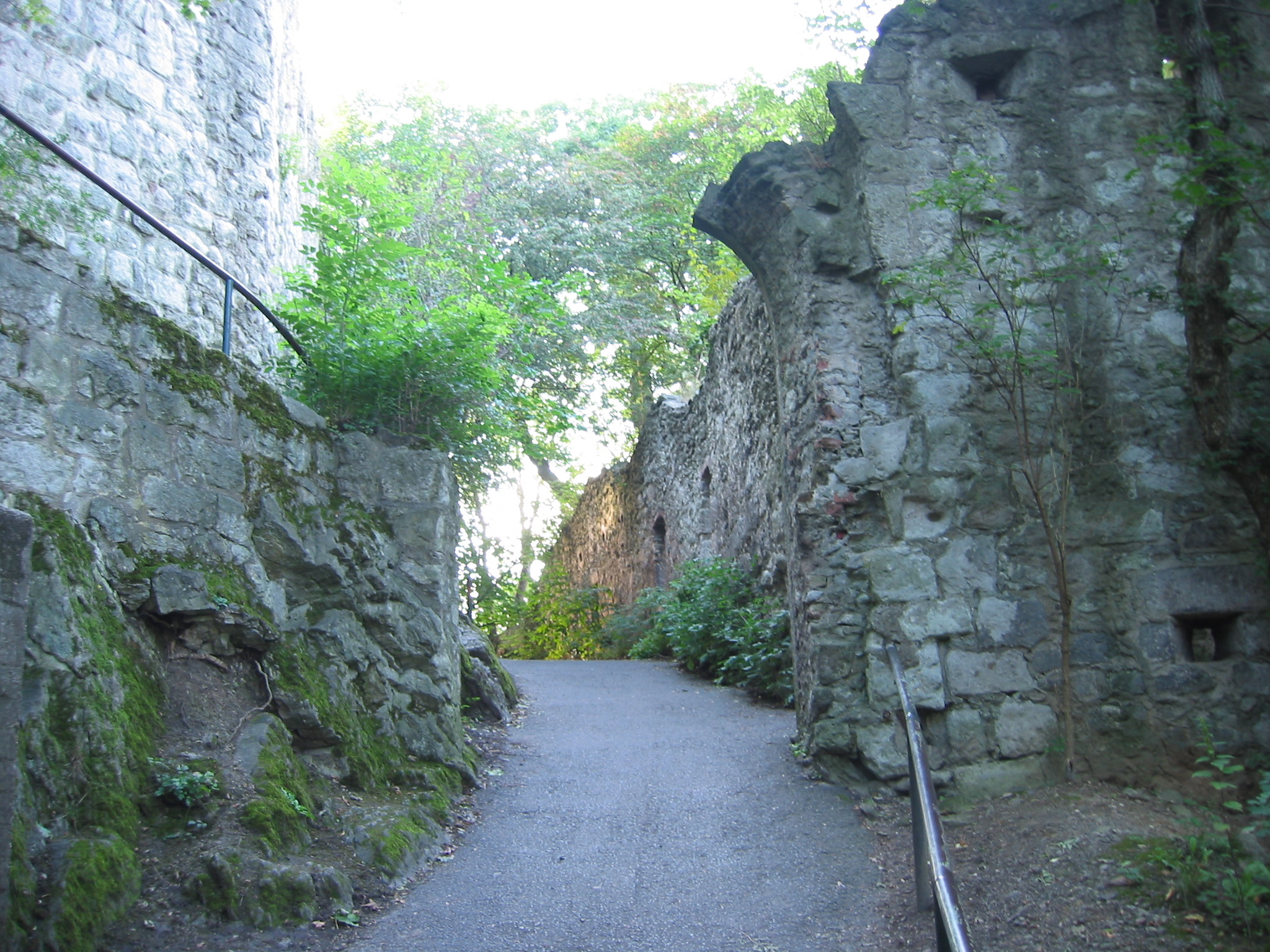 Ruins Dachenfels at Konigswinter on the Rhine