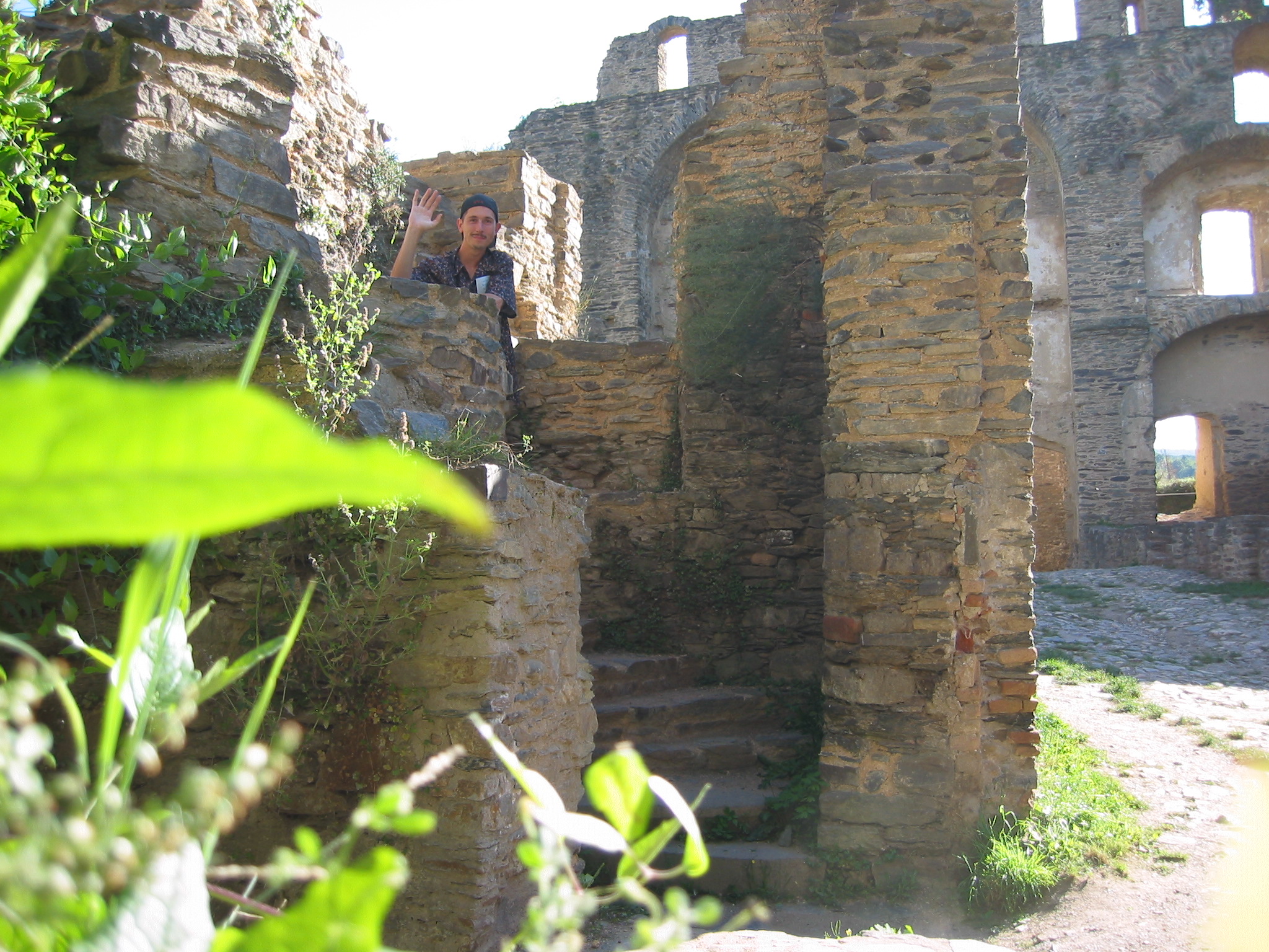 Vince in Burg Rheinfels, ruins of vaults