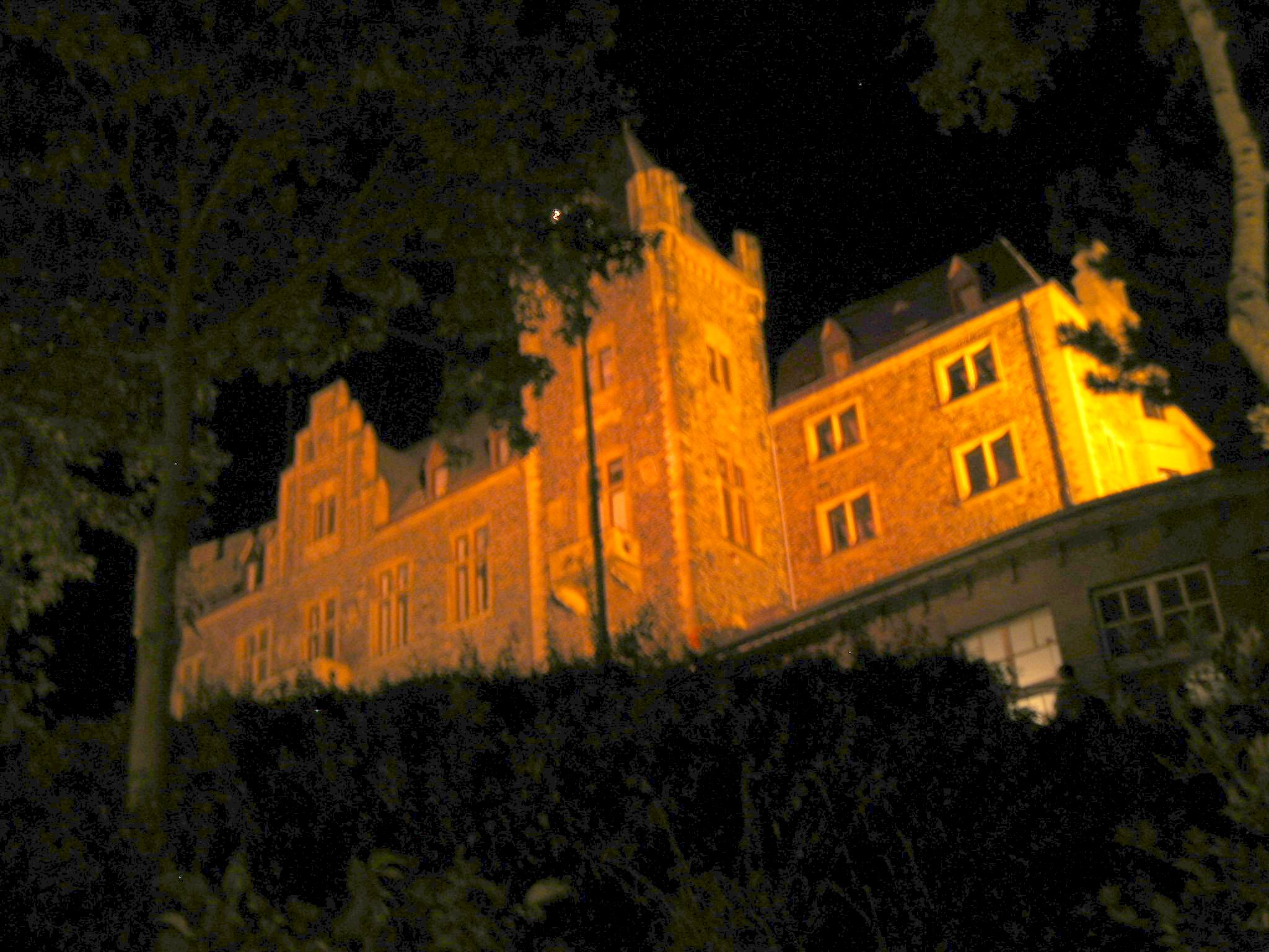 The castle atop the hill in the city of Bingin