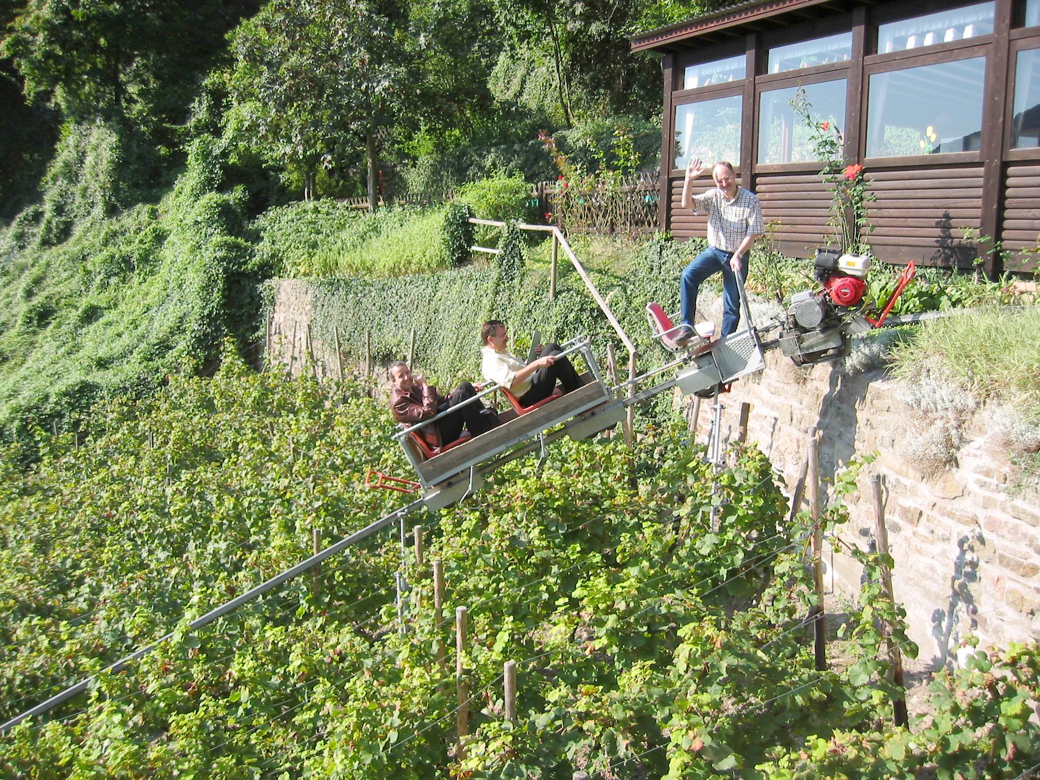 The vineyards there make use of a small trolley to navigate the hill, how fun!