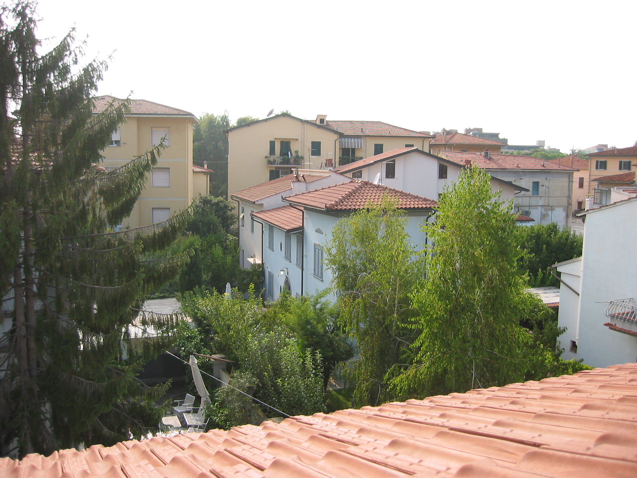 I lean out of a residential window in Pisa. Behind me is a butterfly, so beautiful