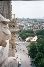 Gargoyles of Notre Dame and Paris view